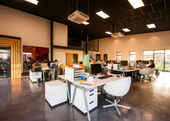 The Hidden Risks of Ignoring Early Pest Activity in Commercial Spaces