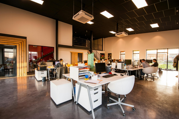 The Hidden Risks of Ignoring Early Pest Activity in Commercial Spaces