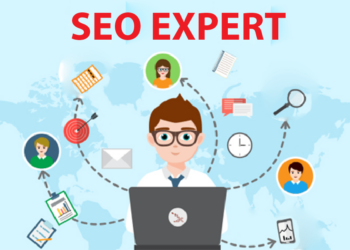 Thriving as an SEO Expert in India Insider Tips and Real-World Insights