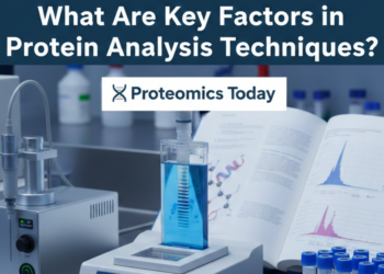 What Are Key Factors in Protein Analysis Techniques?