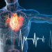 Supporting Heart and Cellular Health as We Age Gracefully