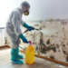 What Happens to Removed Materials During the Mold Removal Process