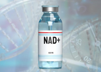 Why NAD+ Matters for Energy, Aging, and Cellular Health