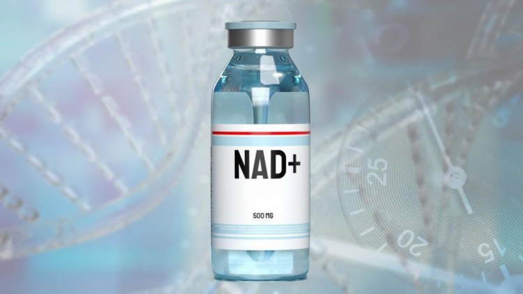 Why NAD+ Matters for Energy, Aging, and Cellular Health