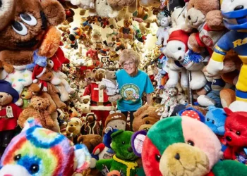 Old Bear Collections
