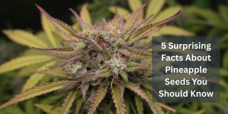 5 Surprising Facts About Pineapple Seeds You Should Know