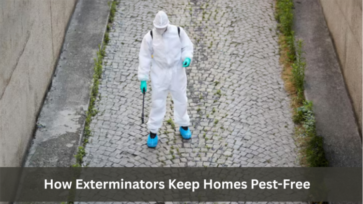 How Exterminators Keep Homes Pest-Free