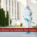 How Often Should You Schedule Pest Control Services?