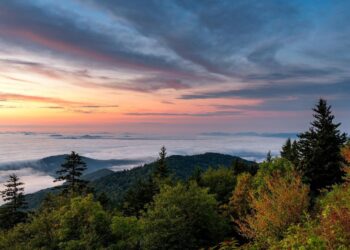 What Makes Traveling Different in 2026