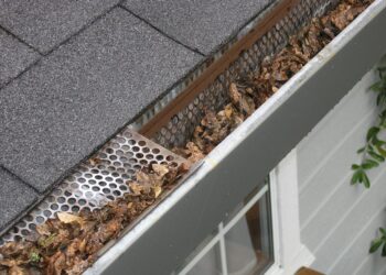 Whole-Home Protection: Key Maintenance Areas for Every Season