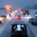 Why Local Authority Matters More Than Short-Term Traffic Gains