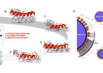 Pharmagrade Peptide Site Migration to New .is Domain