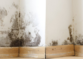 How to Tell If Water Is Still Trapped Behind Drywall After Cleanup and Drying?