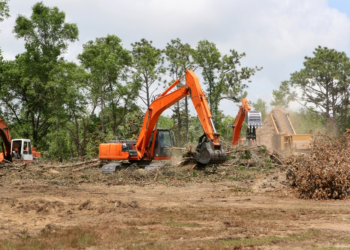 Sustainable Land Clearing Practices That Benefit Both Property Owners and the Environment