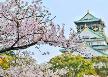 Why Osaka Is the Ultimate Bleisure Destination for 2026