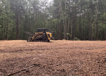 Revitalize Your Property with Expert Forestry Mulching