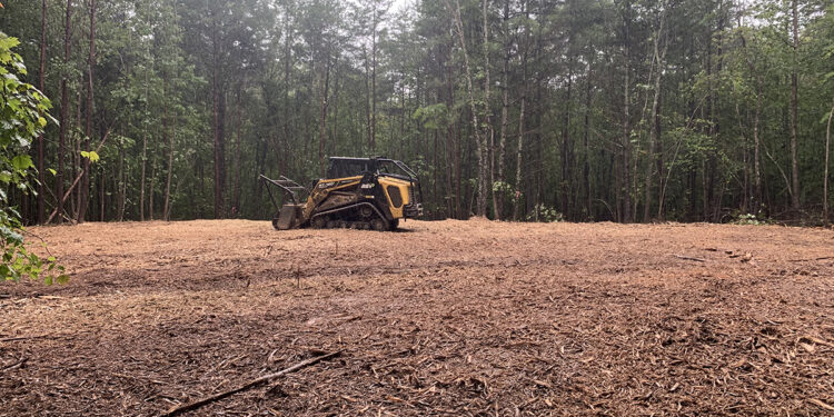 Revitalize Your Property with Expert Forestry Mulching