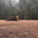 Revitalize Your Property with Expert Forestry Mulching