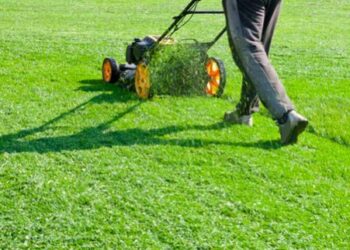 Lawn Deserves Better