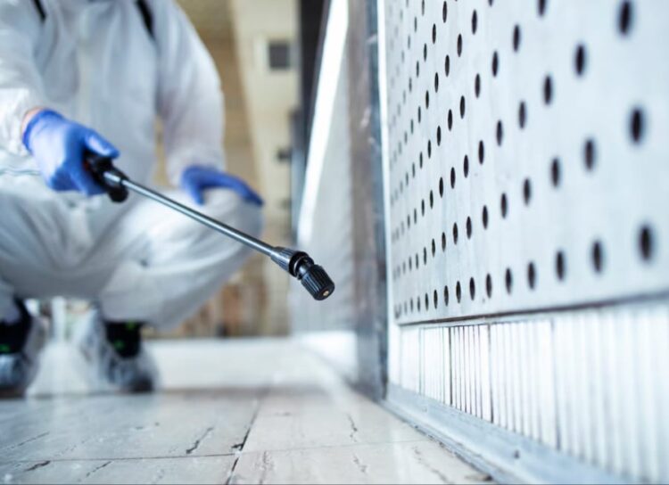 How Apex Pest Control Keeps Your Property Safe From Harmful Pests