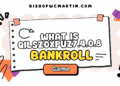 What Is Qilszoxpuz7.4.0.8 Bankroll Game: A Deep Exploration of a Mysterious Digital Concept