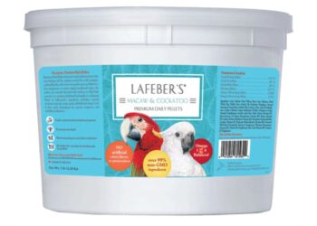 When I Switched to Lafeber Bird Food: What Changed for My Bird