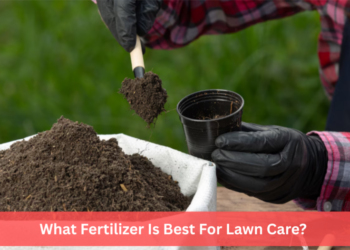 What Fertilizer Is Best For Lawn Care