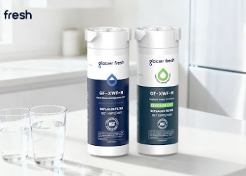 A Complete Guide to Maintaining Your Refrigerator Water Filter