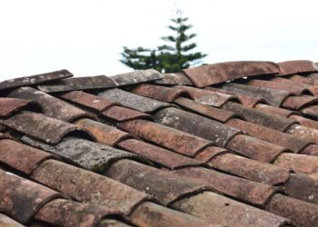 What Homeowners Should Know About Post-Damage Recovery