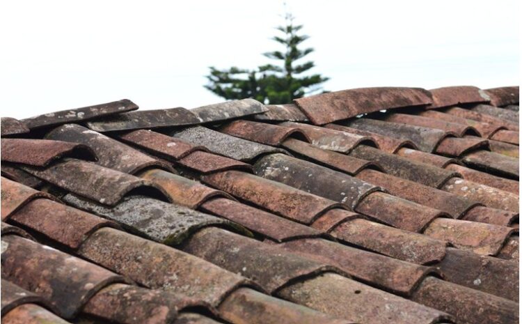 What Homeowners Should Know About Post-Damage Recovery