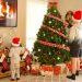 The Tree Elves: Bringing Real Christmas Trees to Your Doorstep
