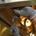 Homeowners: What to Look for in a Quality Plumbing Service