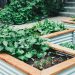 Eco-Friendly Garden at Home